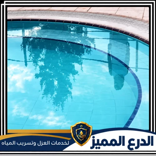 تنظيف مسابح في الشارقة 0529222463 شركة الدرع المميز