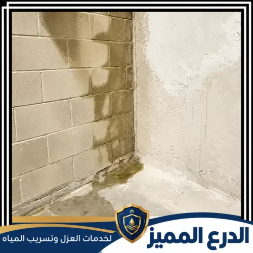 شركة معالجة الرطوبة في الامارات 0529222463 معالجة الرطوبة بدون تكسير