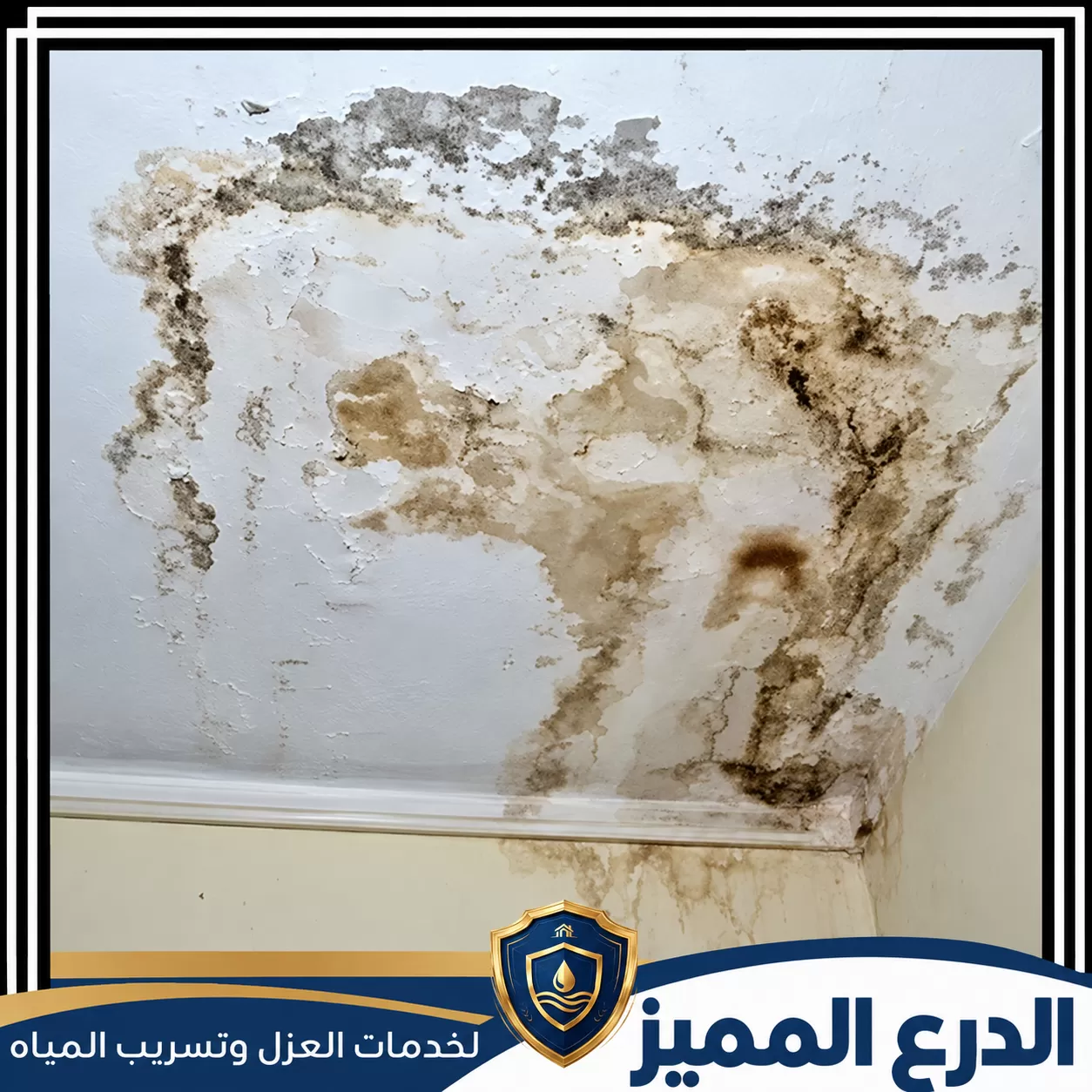 شركة معالجة الرطوبة في الامارات 0529222463 علاج رطوبة الجدران